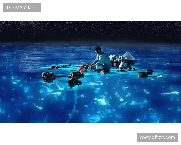 少年，在奇幻的漂流中寻找星辰大海