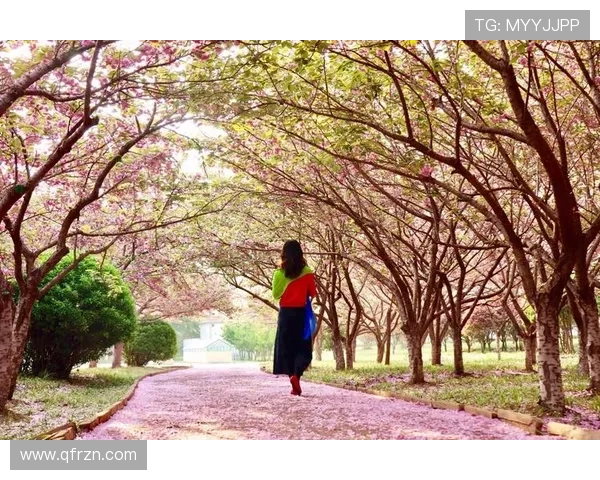 SakuraSena：樱花落英缤纷，邂逅浪漫的数字花园